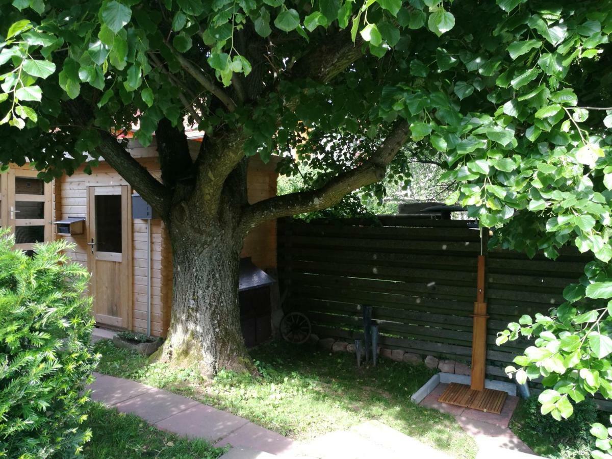 Ferienhaus Glucksmoment Grasellenbach Eksteriør billede